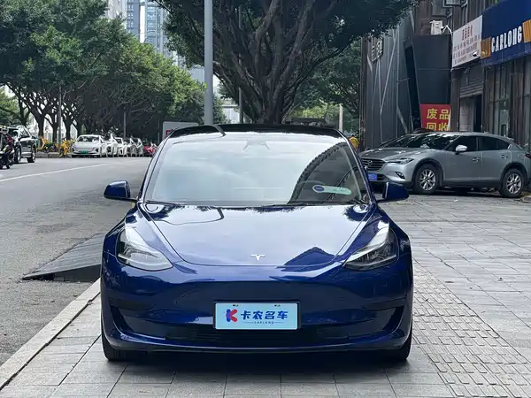 Tesla Model 3 2022