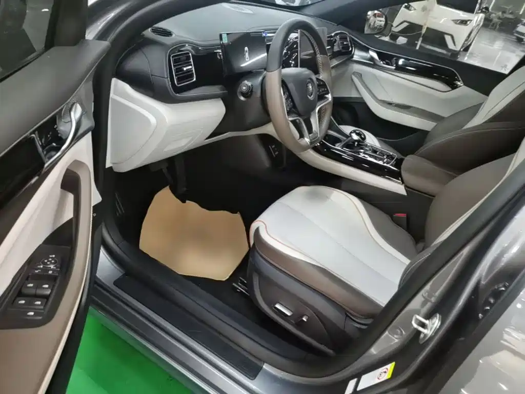 BYD Qin PLUS 2024 — фото 16