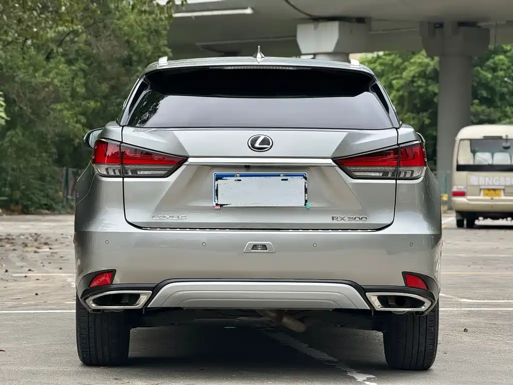 Lexus RX 2020 — фото 16