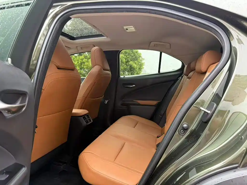 Lexus UX 2020 — фото 10