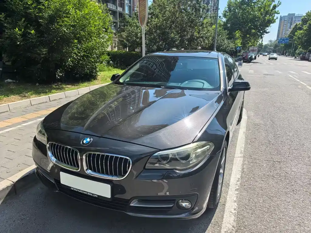 BMW 5 Series 2016