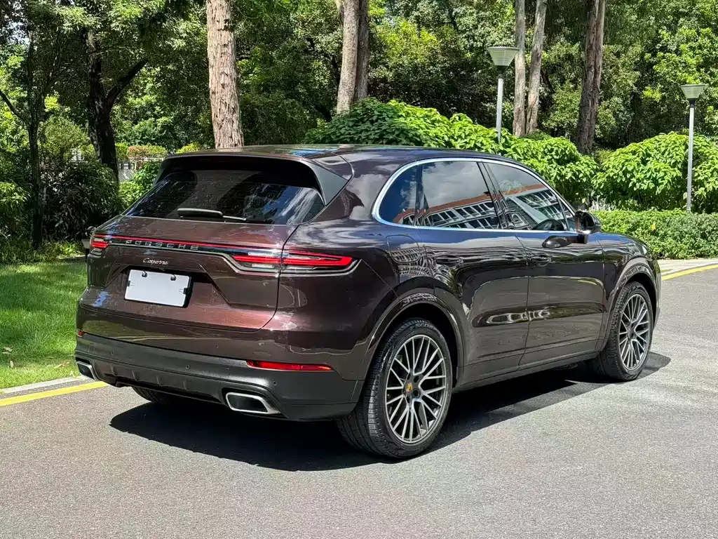 Porsche Cayenne 2020 — фото 15