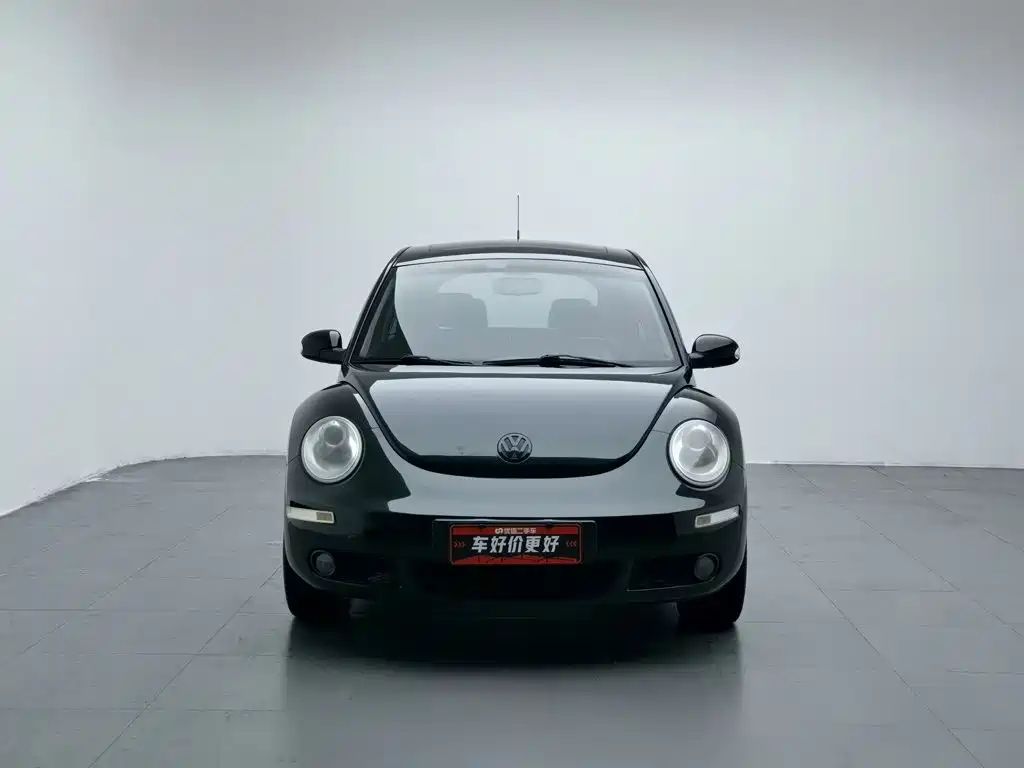 Volkswagen Beetle 2010