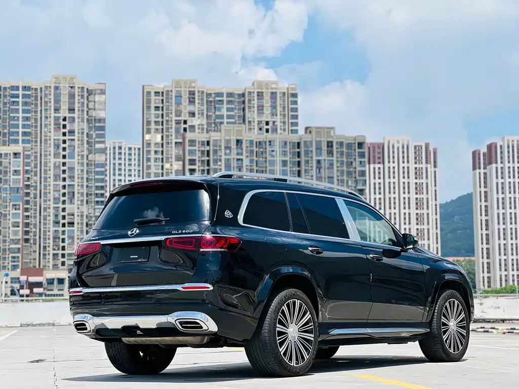 Mercedes-Benz Maybach GLS 2021 — фото 13