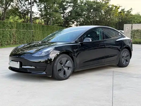 Tesla Model 3 2021