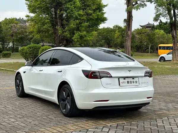 Tesla Model 3 2021