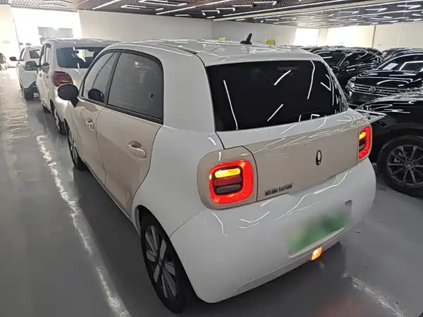 Ora Black Cat 2022