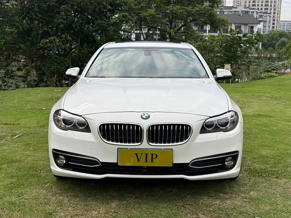 BMW 5 Series 2014 — фото 2