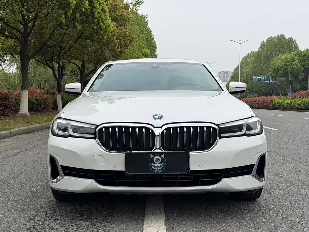 BMW 5 Series 2021