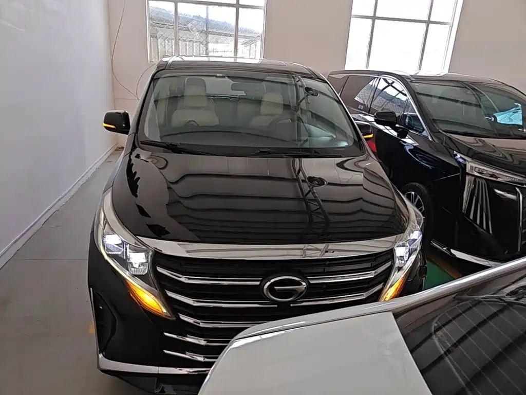 GAC Trumpchi M8 2021 — фото 3