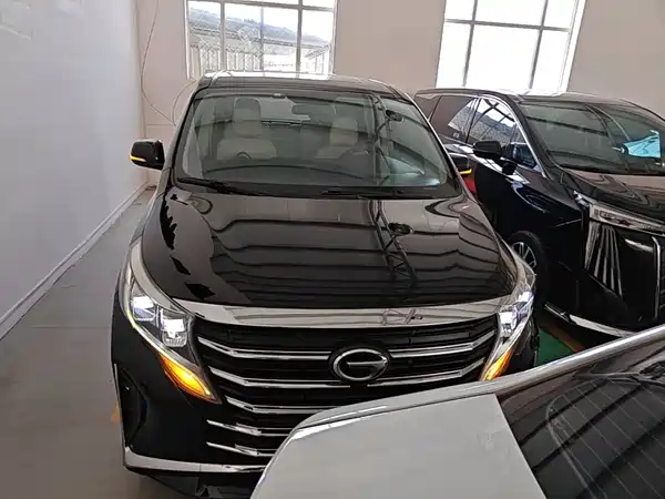 GAC Trumpchi M8 2021