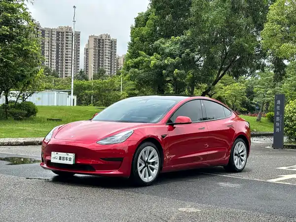 Tesla Model 3 2021