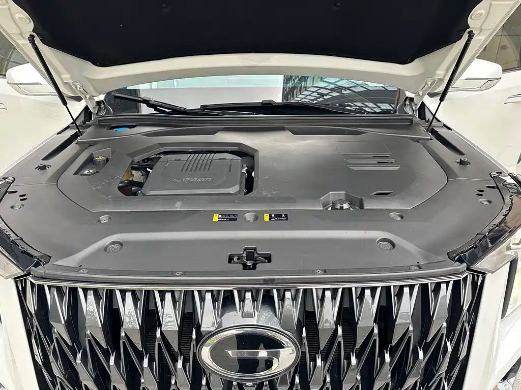 GAC Motor Trumpchi GS8 2023 — фото 17