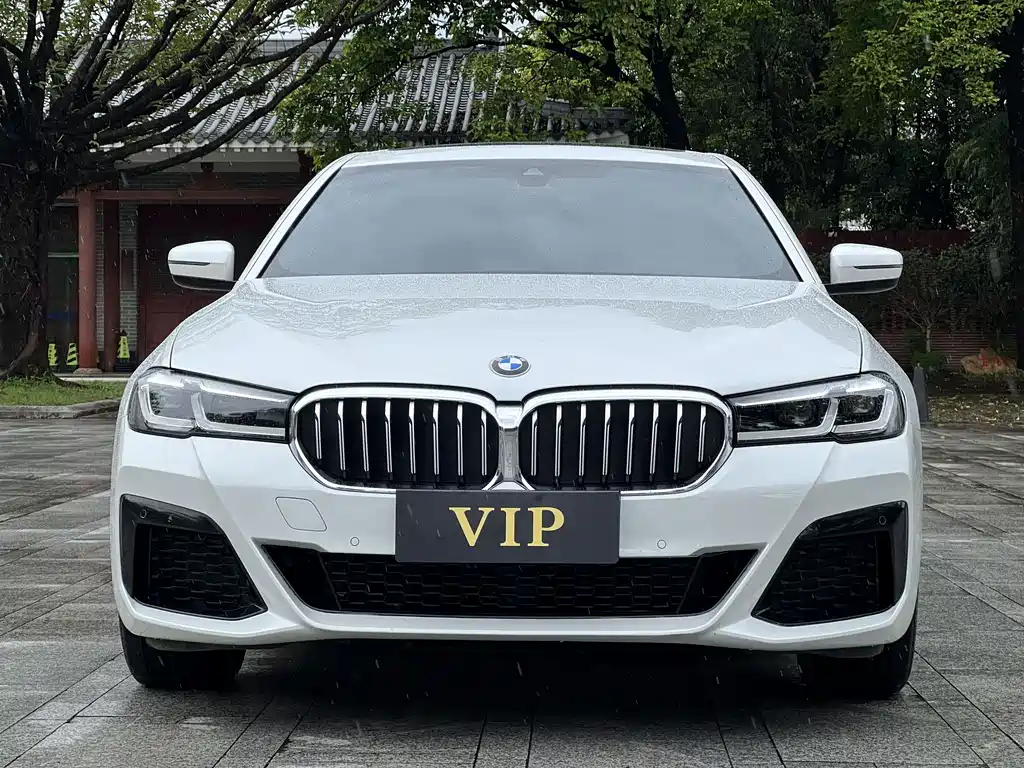 BMW 5 Series 2022
