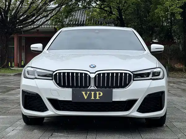 BMW 5 Series 2022