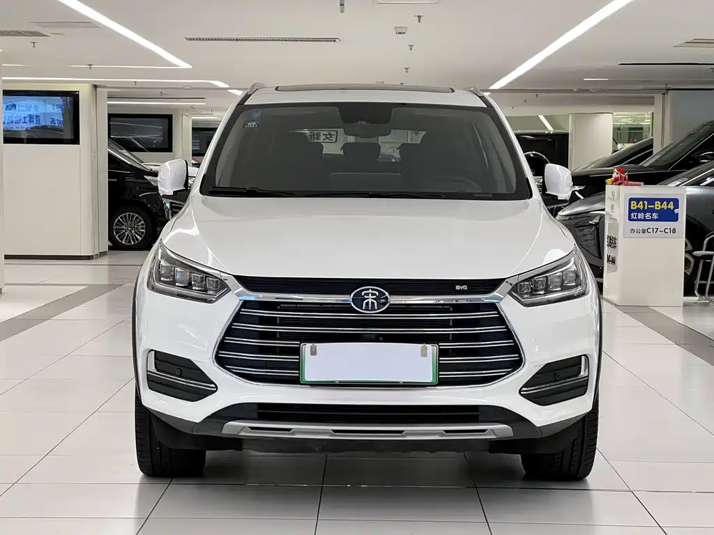 BYD New Energy 2019
