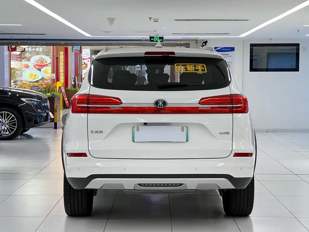 BYD New Energy 2019
