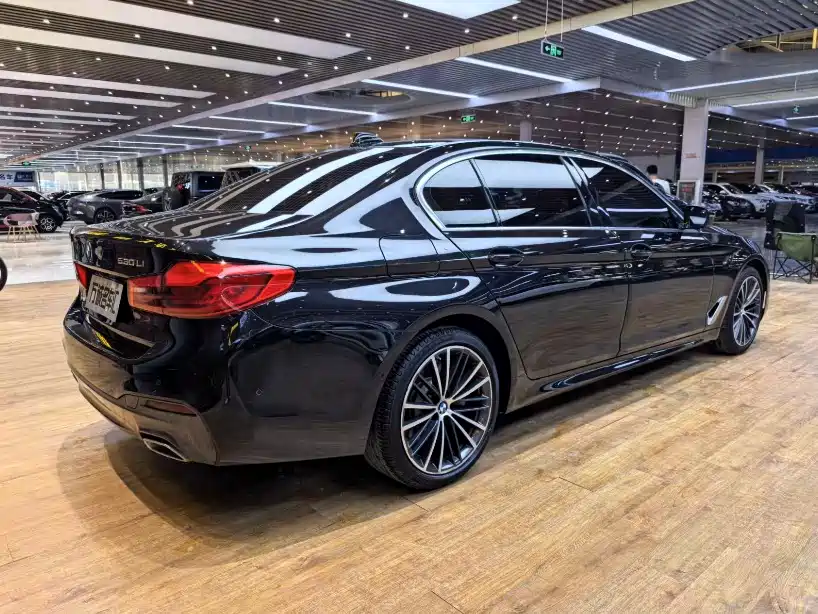 BMW 5 Series 2020 — фото 27