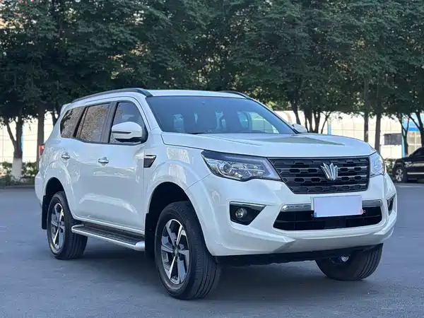Dongfeng Paladin 2024