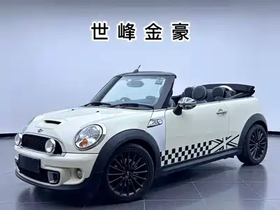 MINI MINI 2013