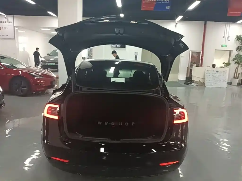Tesla Model 3 2021 — фото 19
