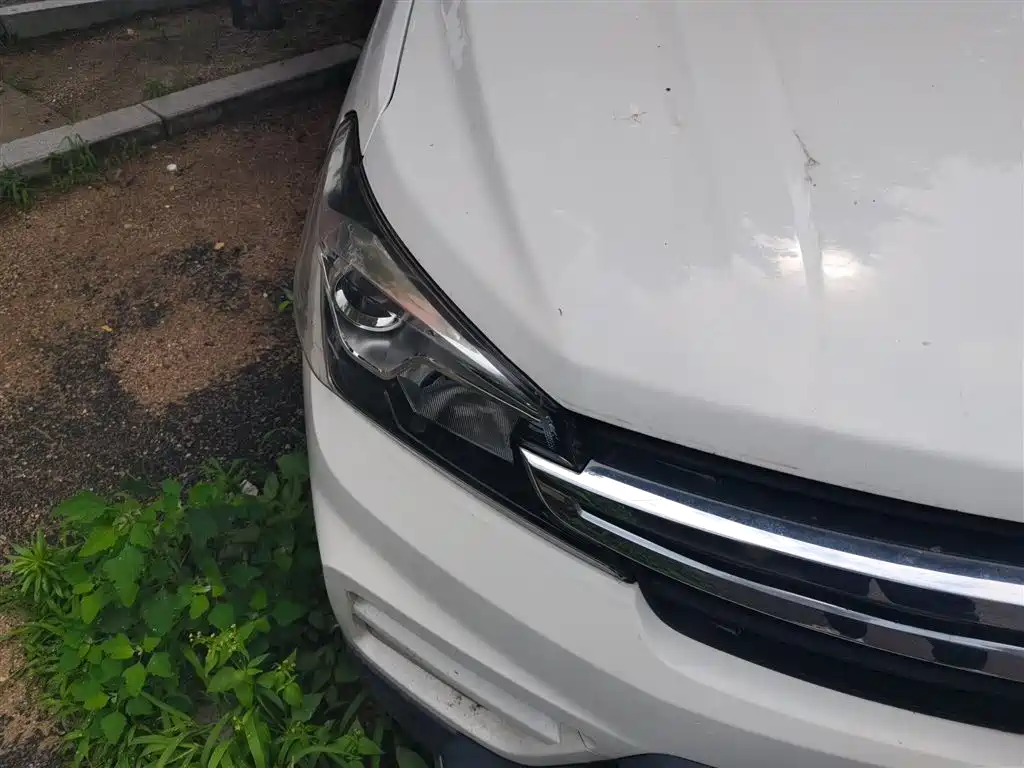 Fengguang S560 2018
