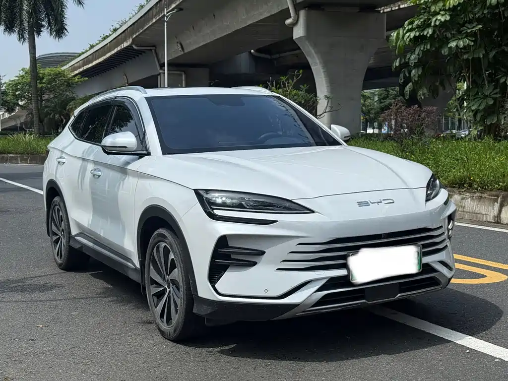 BYD PLUS New Energy 2024 — фото 3
