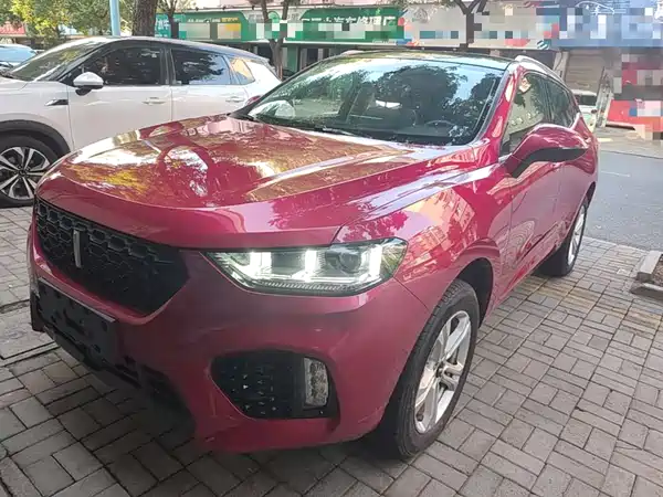 Wey VV5 2019
