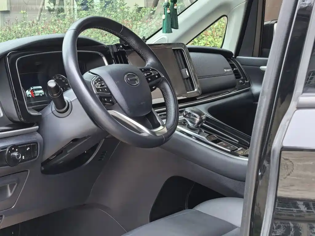 GAC Trumpchi M8 2022 — фото 18