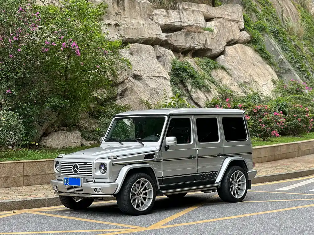 Mercedes-Benz G-Class AMG 2010