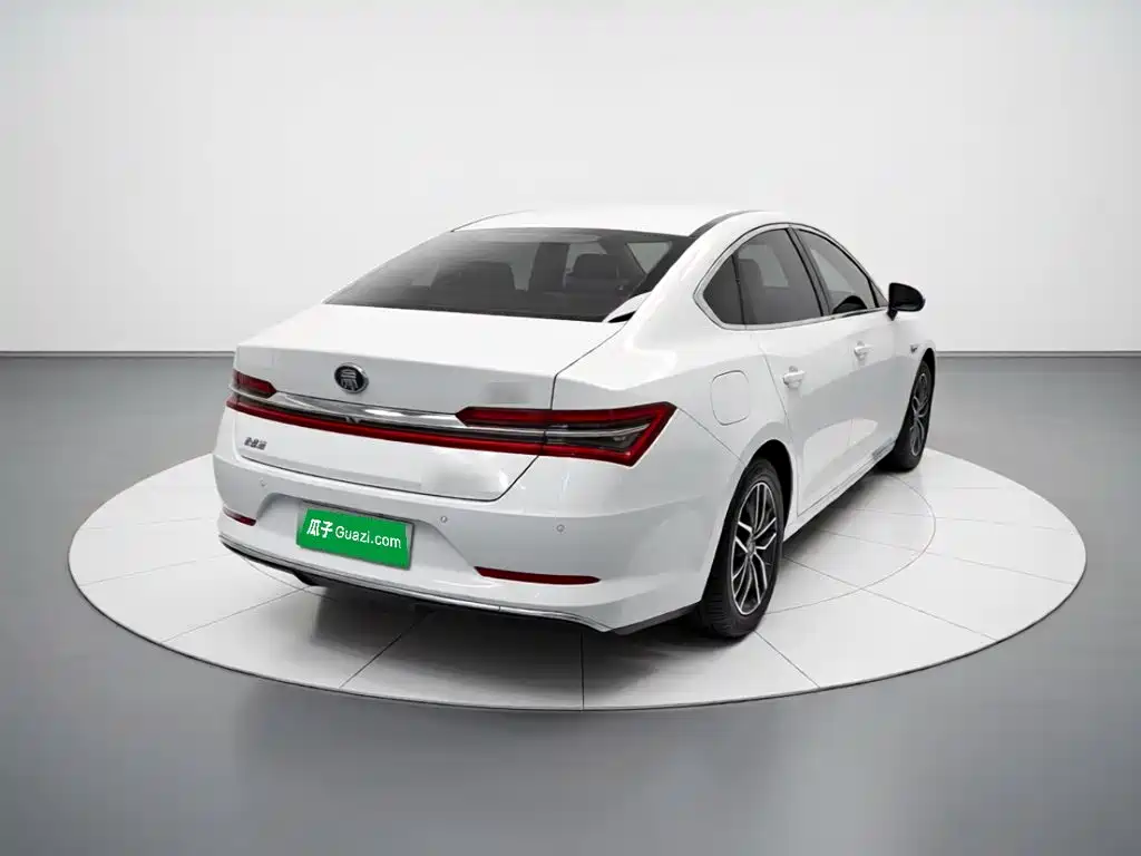 BYD Qin Pro New Energy 2019 — фото 6