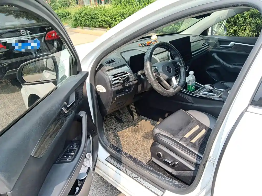 BYD Qin Pro New Energy 2019 — фото 17