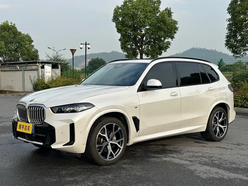 BMW X5 2024