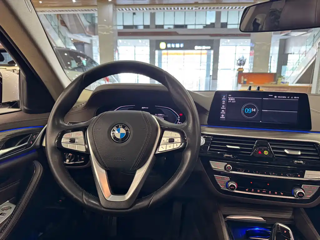 BMW 5 Series New Energy 2020