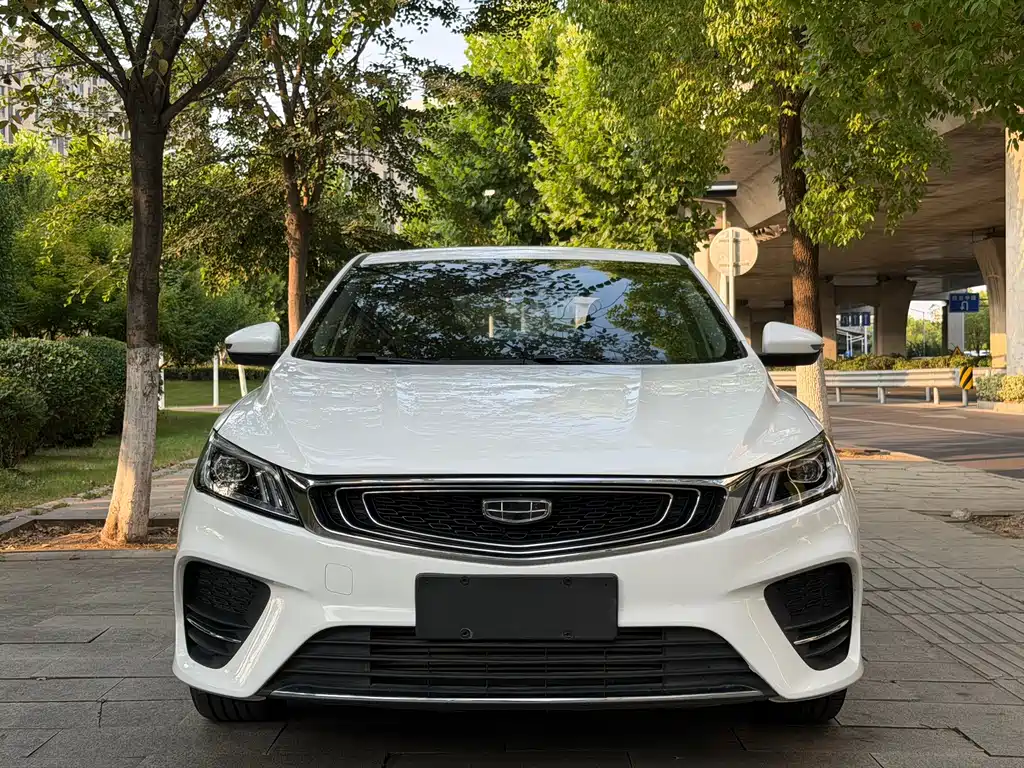 Geely Binrui 2019