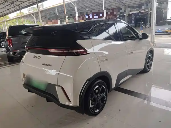 BYD Seagull 2024