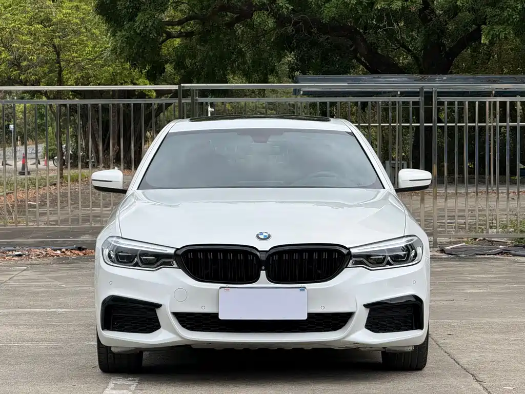 BMW 5 Series 2020