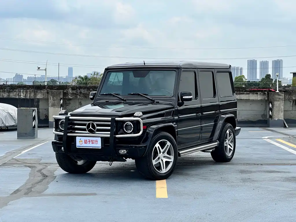 Mercedes-Benz G-Class 2010 — фото 1
