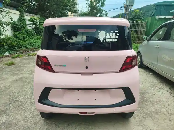 Dongfeng Scenery MINIEV 2022