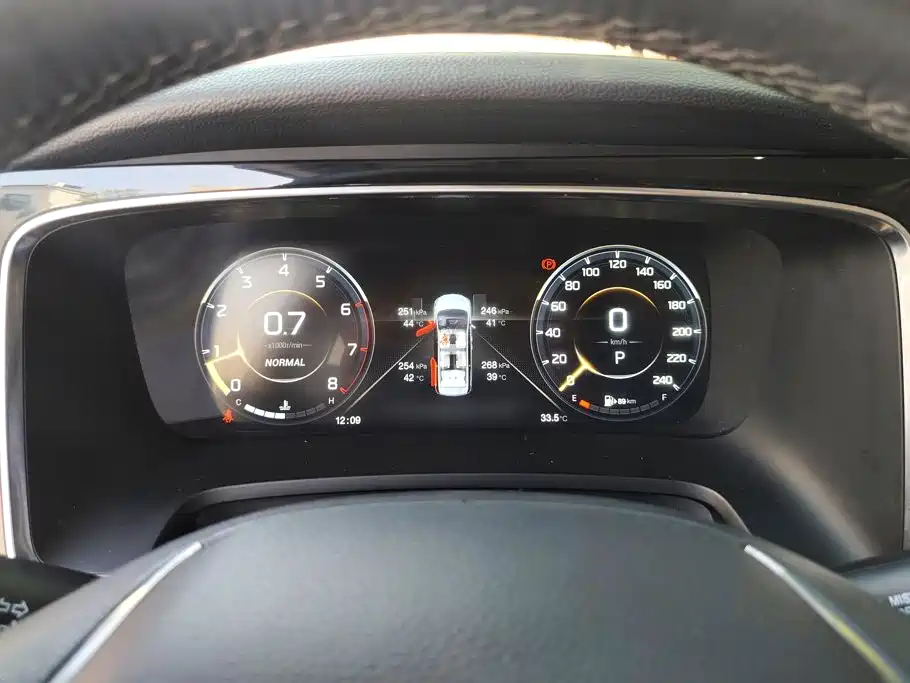 GAC Trumpchi M8 2021 — фото 14