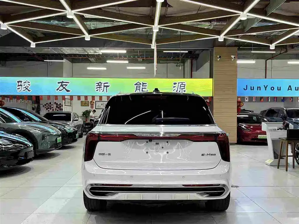 Hongqi E-HS9 2022 — фото 13