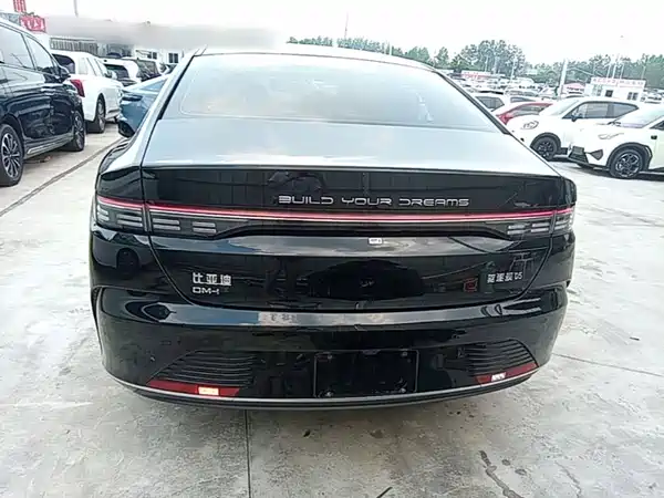 BYD Destroyer 05 2024