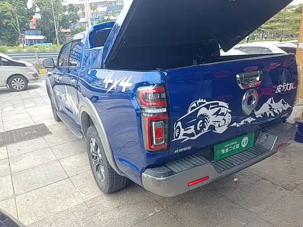 Great Wall Poer 2020