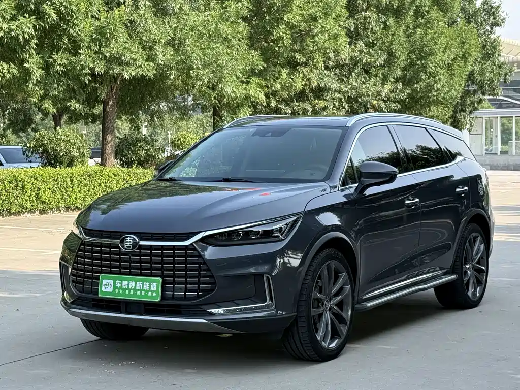 BYD Tang New Energy 2019 — фото 1