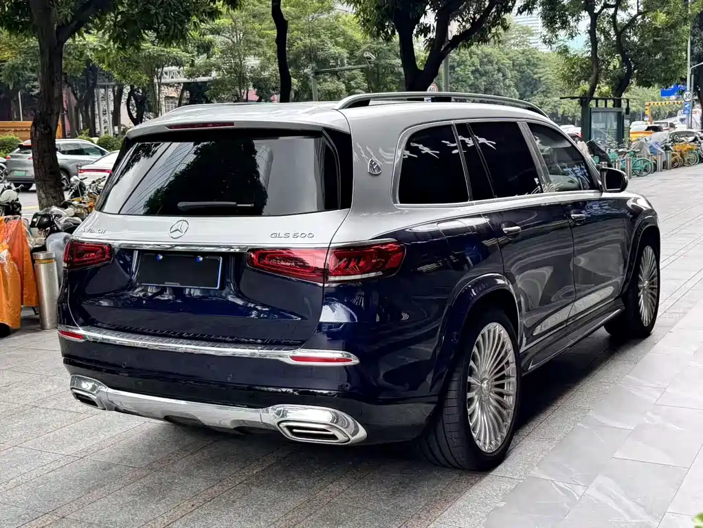 Mercedes-Benz Maybach GLS 2022 — фото 24