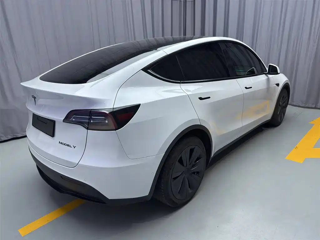 Tesla Model Y 2021 — фото 12