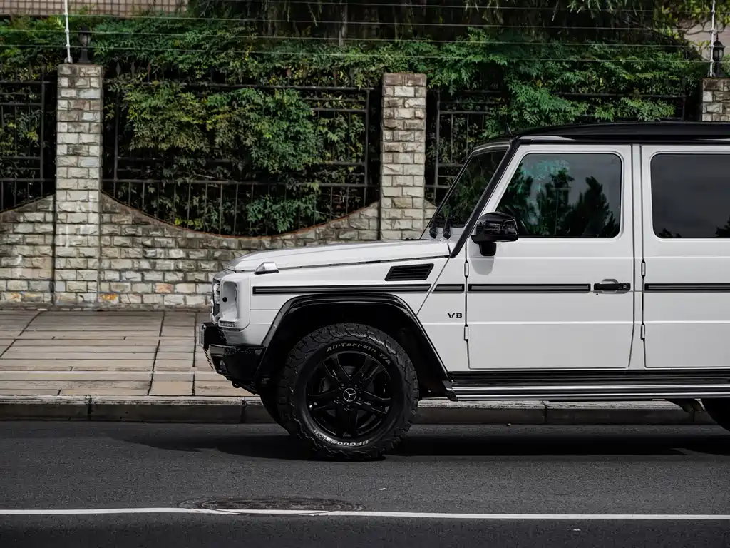 Mercedes-Benz G-Class 2016 — фото 19