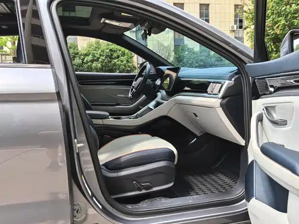BYD Song PLUS New Energy 2023