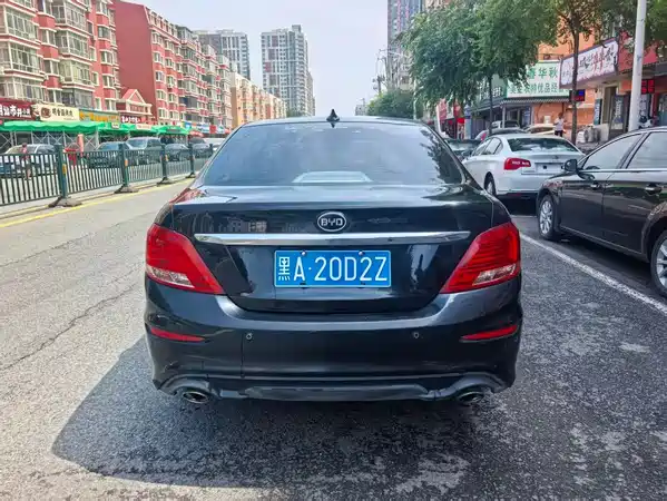 BYD Surui 2019