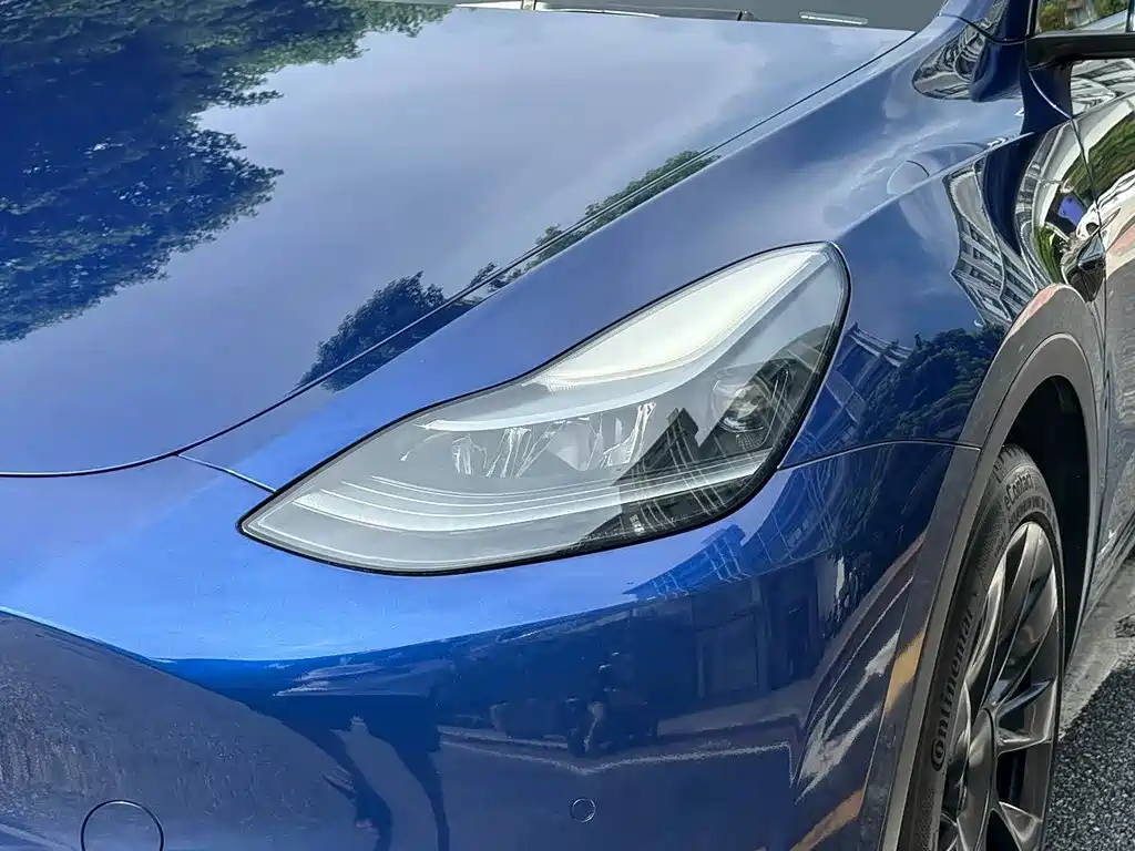 Tesla Model Y 2021 — фото 2